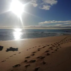 https://piso-el-jardin.hotelsfuerteventura.org